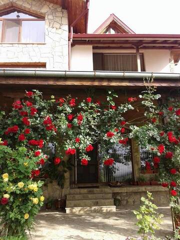 Фото Гостевой дом Todorovi Guest House г. Стара-Загора 4