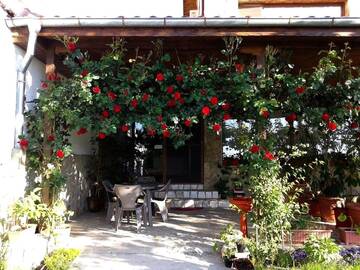 Фото Гостевой дом Todorovi Guest House г. Стара-Загора 3