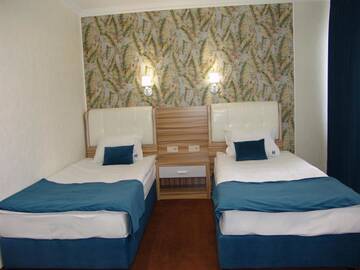 Фото номера Двухместный номер Делюкс с 2 отдельными кроватями Отель Hotel Zheleznik г. Стара-Загора 6