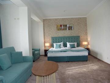 Фото номера Двухместный номер-студио Делюкс с 1 кроватью Отель Hotel Zheleznik г. Стара-Загора 6