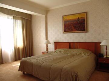 Фото номера Полулюкс Отель Hotel Zheleznik г. Стара-Загора 9